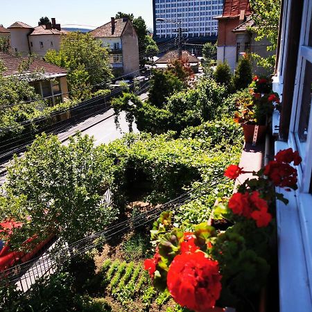 Apartament Hunter Apartment Cluj Napoca Bagian luar foto