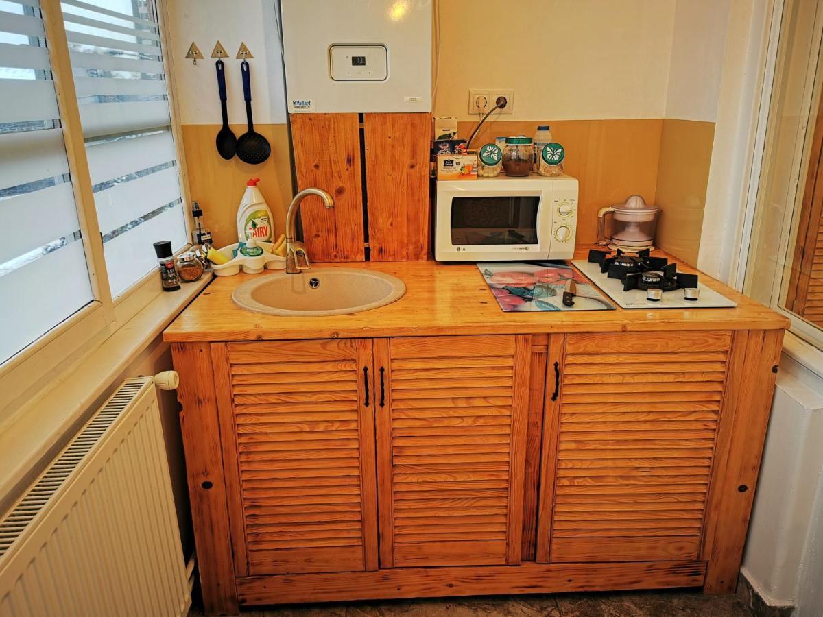 Apartament Hunter Apartment Cluj Napoca Bagian luar foto