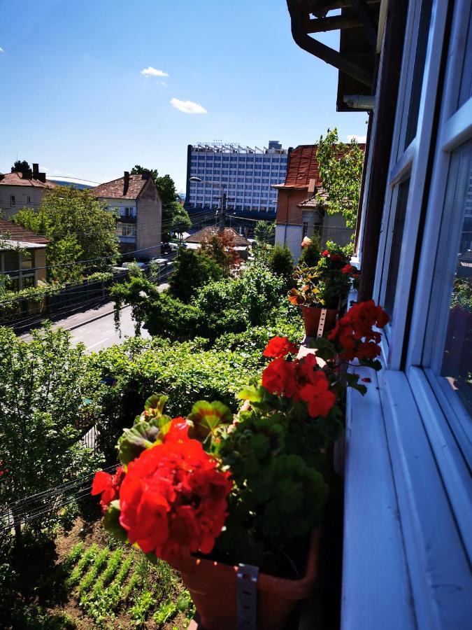Apartament Hunter Apartment Cluj Napoca Bagian luar foto