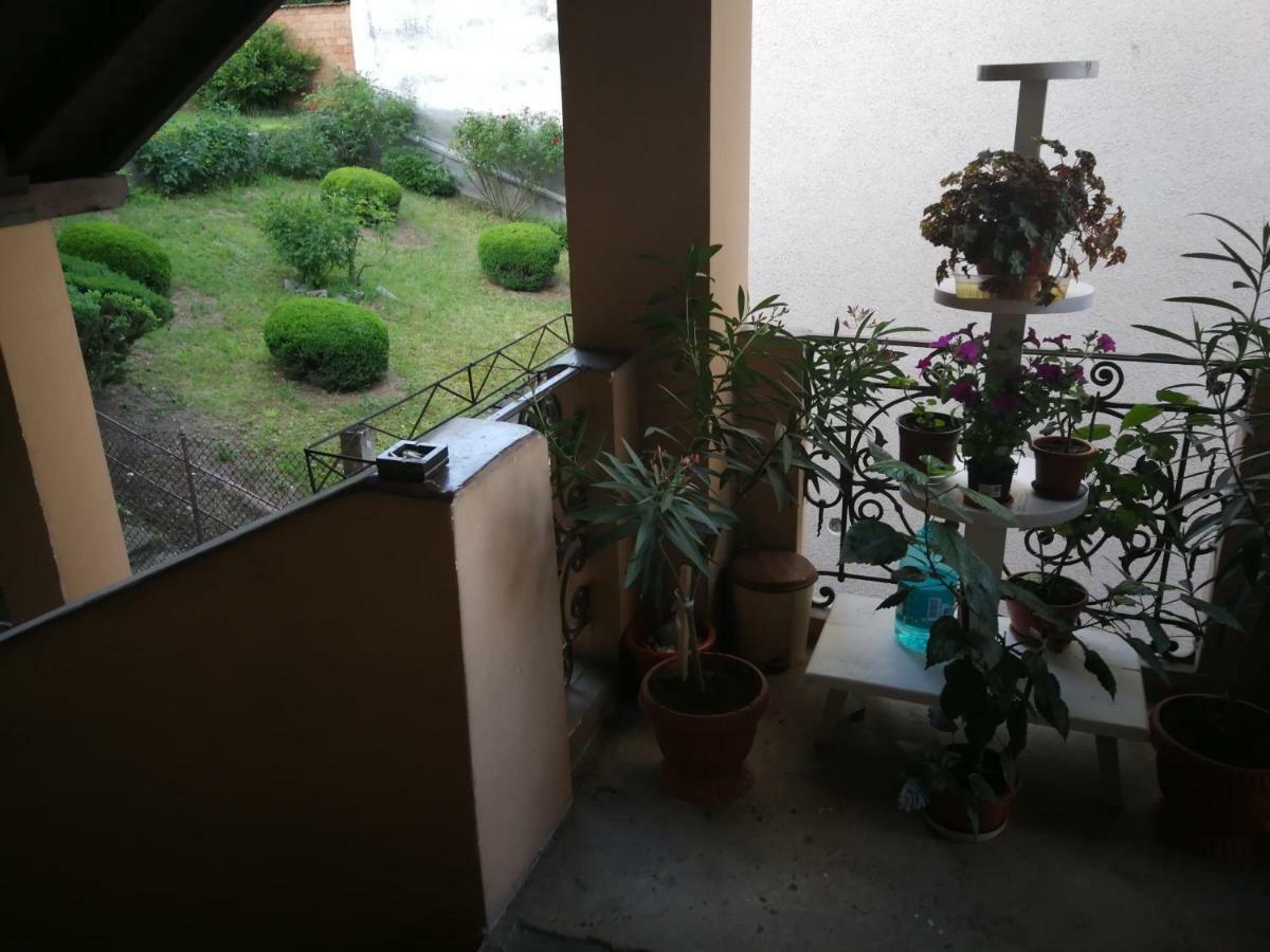 Apartament Hunter Apartment Cluj Napoca Bagian luar foto