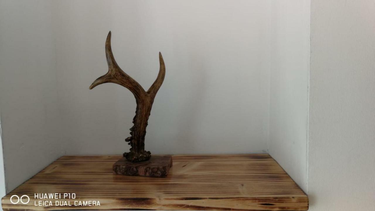 Apartament Hunter Apartment Cluj Napoca Bagian luar foto