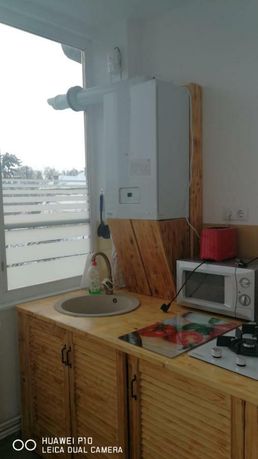 Apartament Hunter Apartment Cluj Napoca Bagian luar foto
