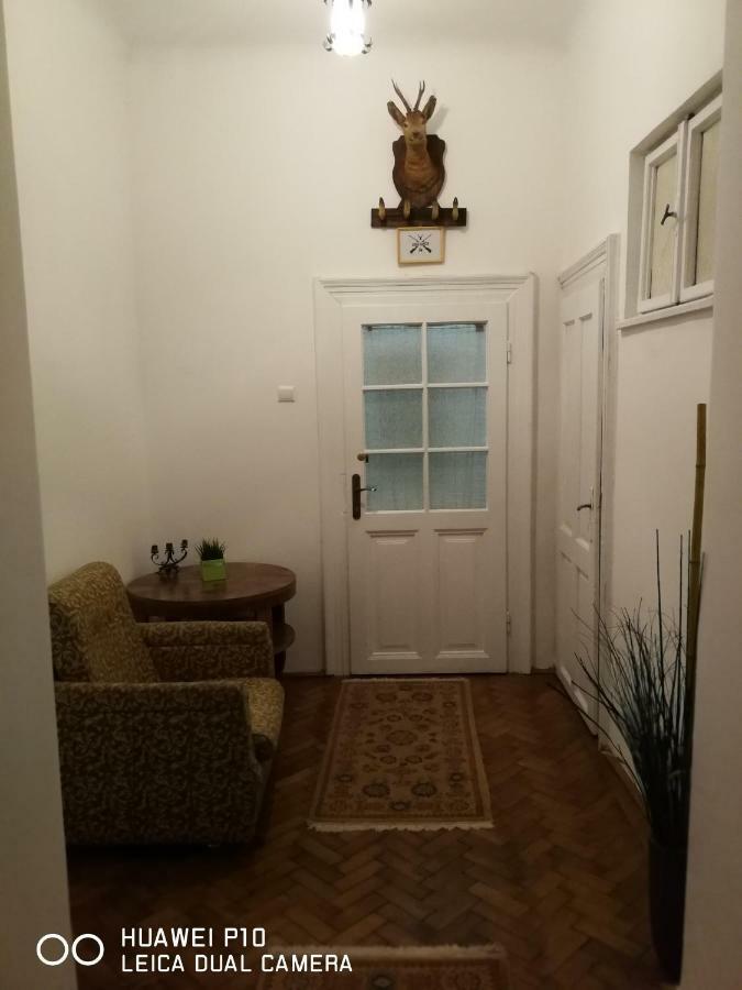 Apartament Hunter Apartment Cluj Napoca Bagian luar foto