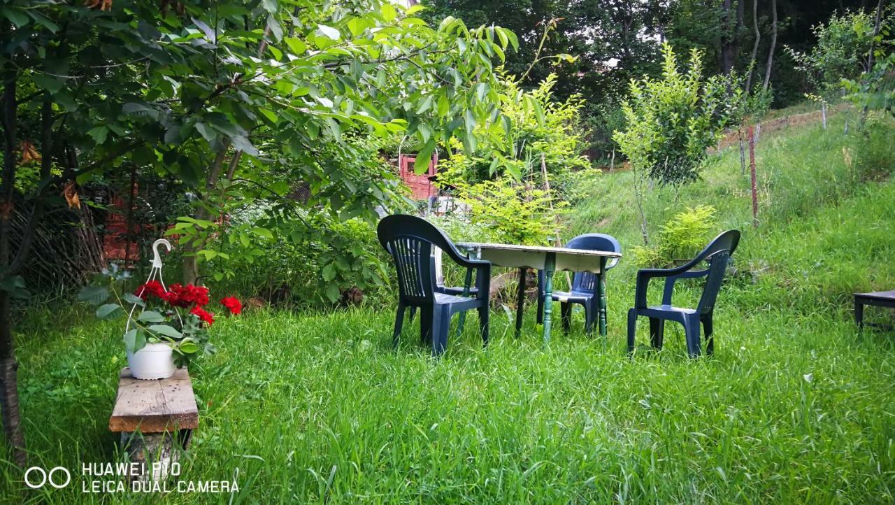Apartament Hunter Apartment Cluj Napoca Bagian luar foto