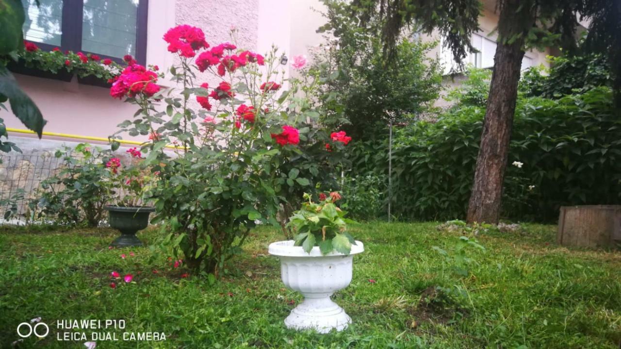 Apartament Hunter Apartment Cluj Napoca Bagian luar foto