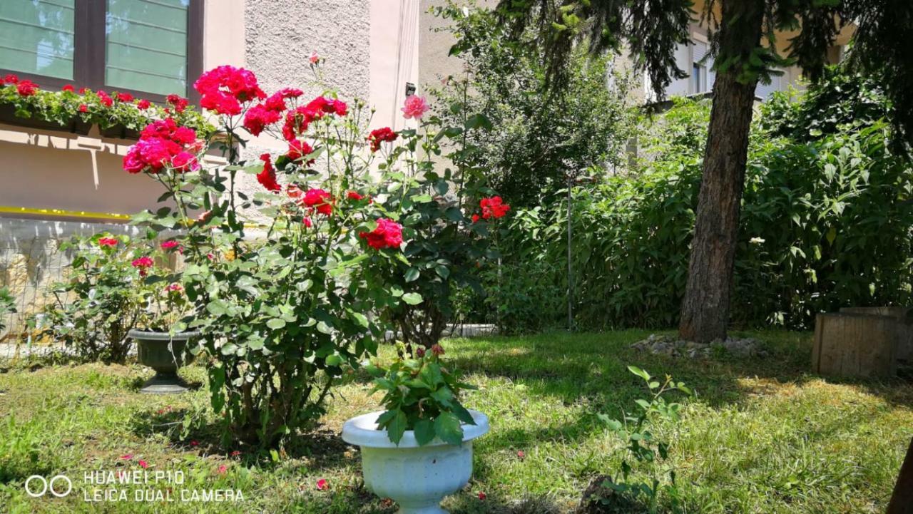 Apartament Hunter Apartment Cluj Napoca Bagian luar foto