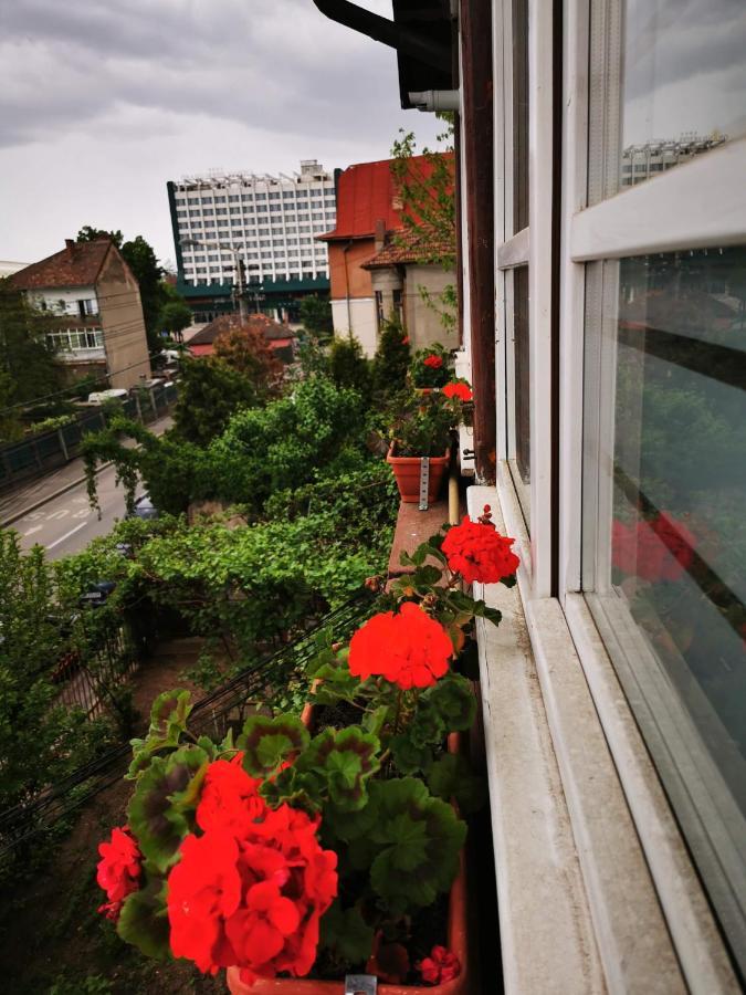 Apartament Hunter Apartment Cluj Napoca Bagian luar foto