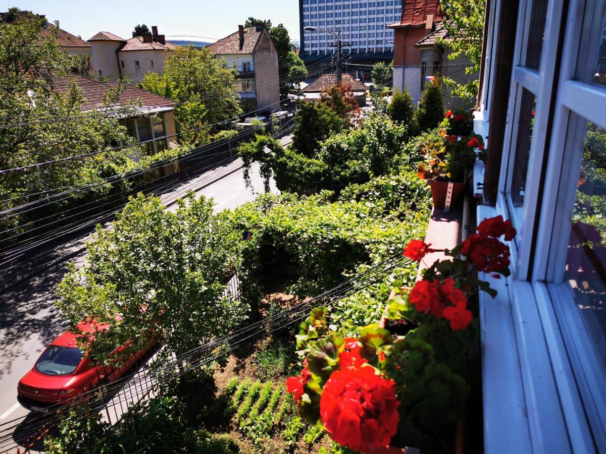 Apartament Hunter Apartment Cluj Napoca Bagian luar foto